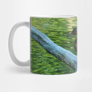 Mallard Duck Standing Ontop Of A Log Mug